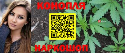 спиды Железногорск