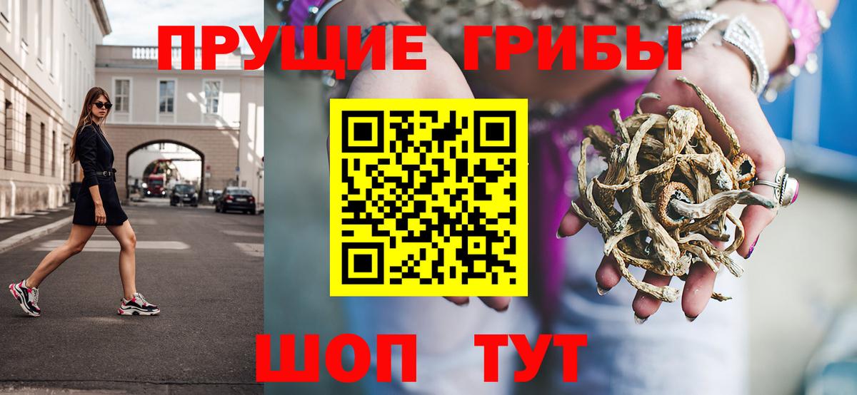 Галлюциногенные грибы MAGIC MUSHROOMS  Вход с VPN  Вязники 